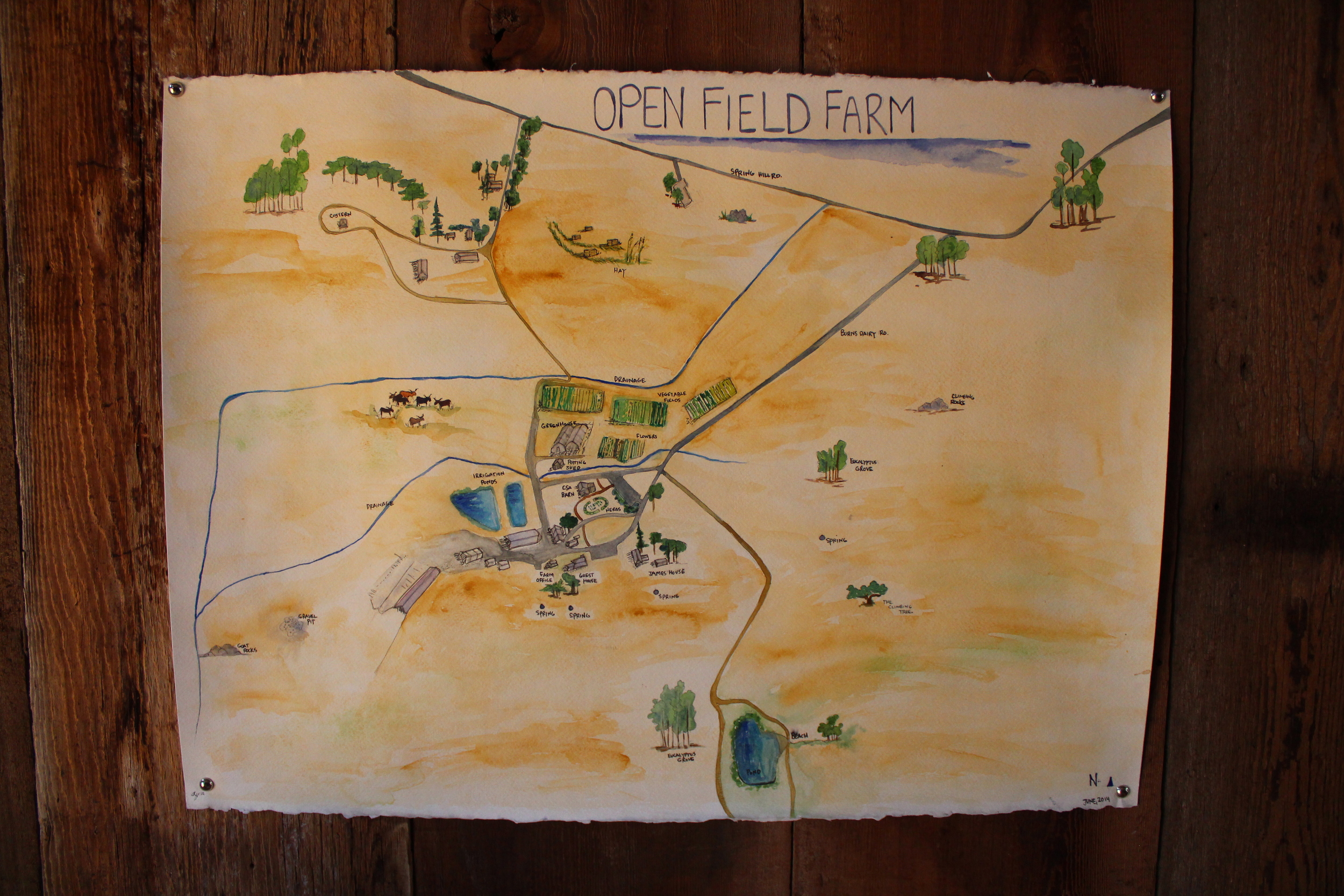 Regina's lovely watercolor map of the farm.