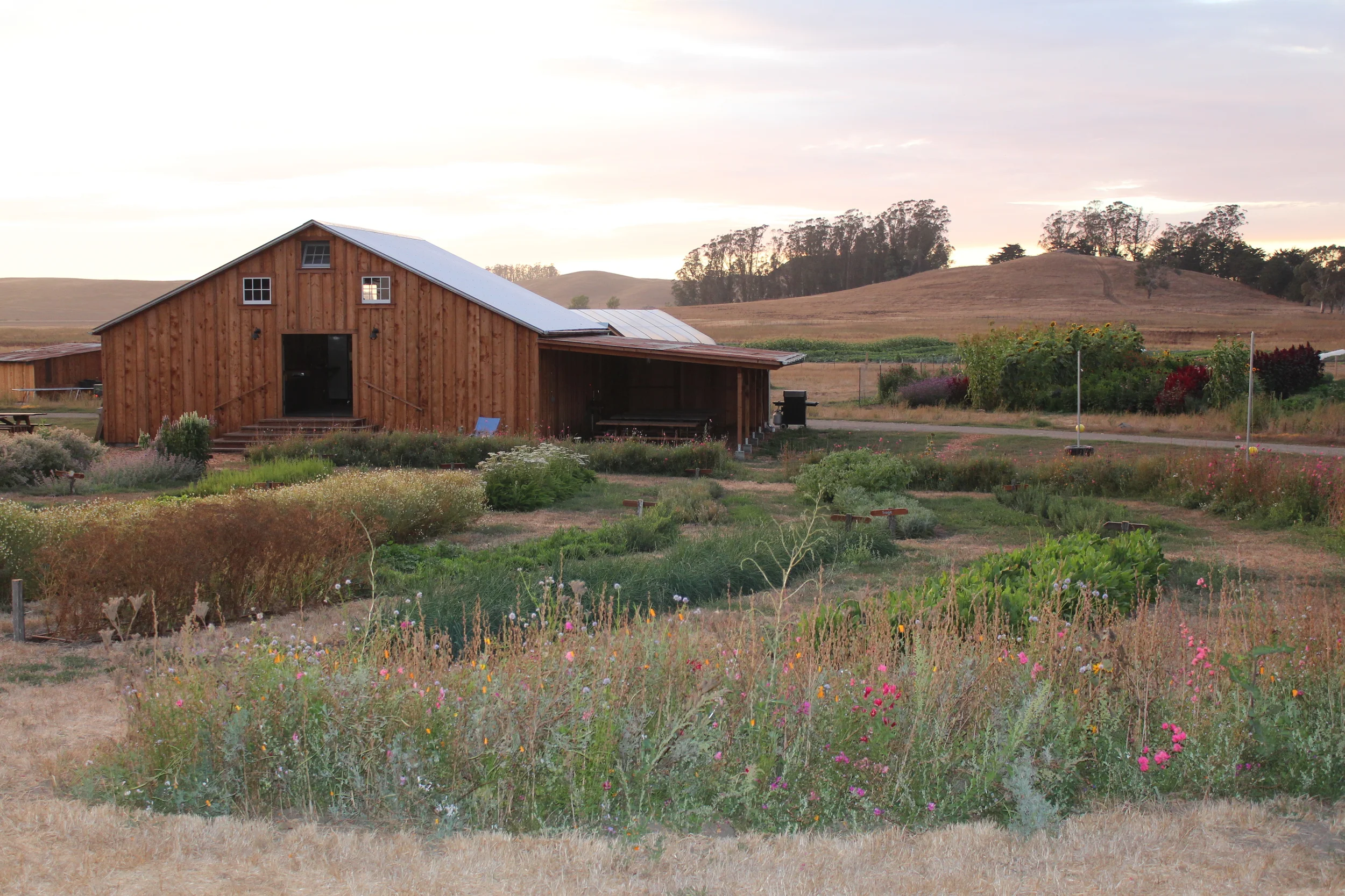 The CSA barn