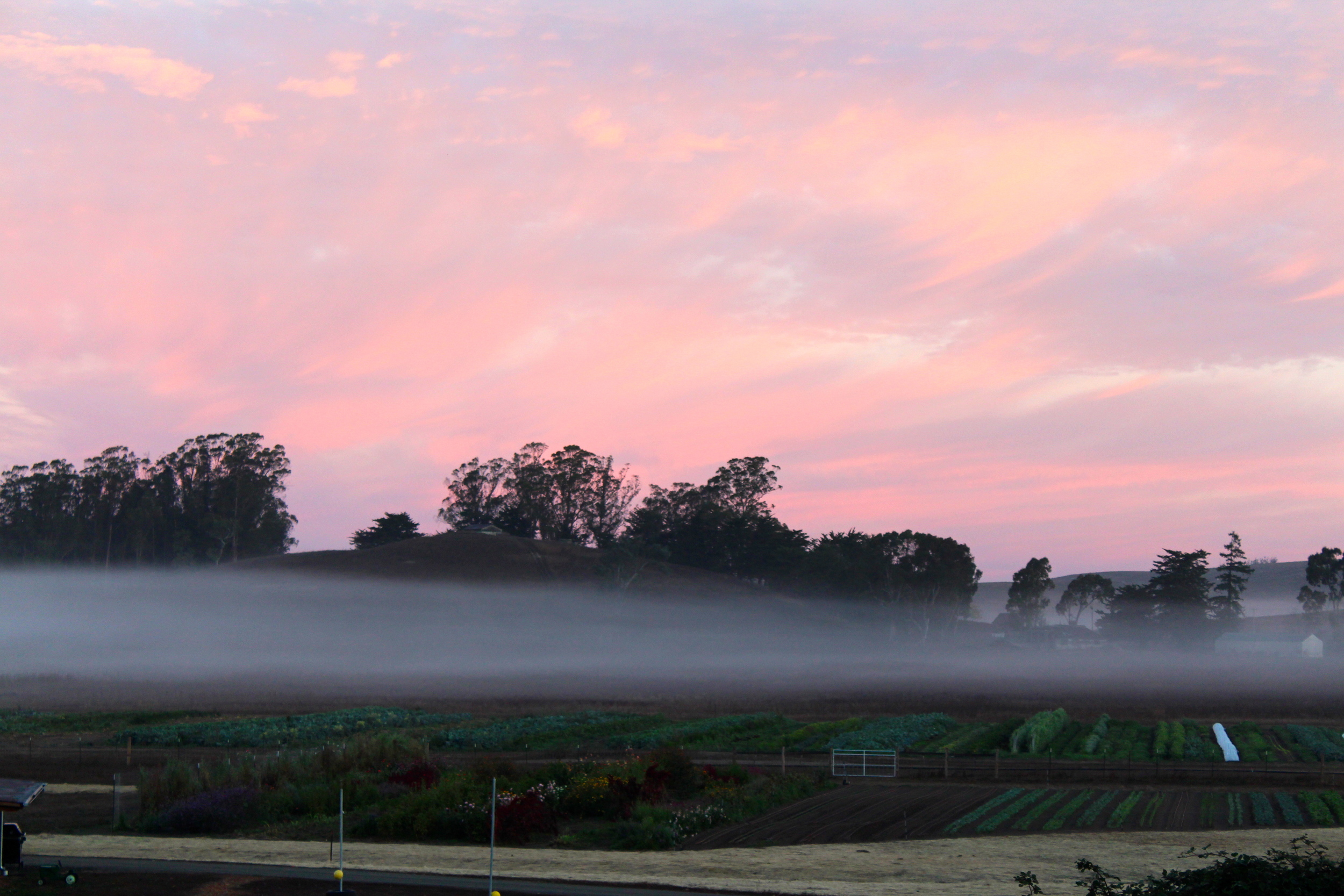 Sunrise with a fog