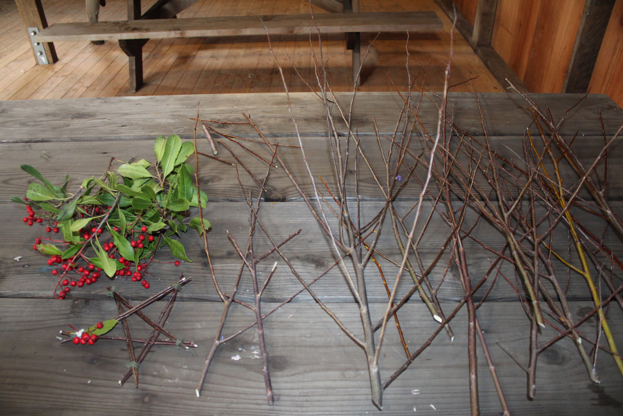 Last week's craft: stick stars made of willow branches collected by the pond and madrone berries from our yard