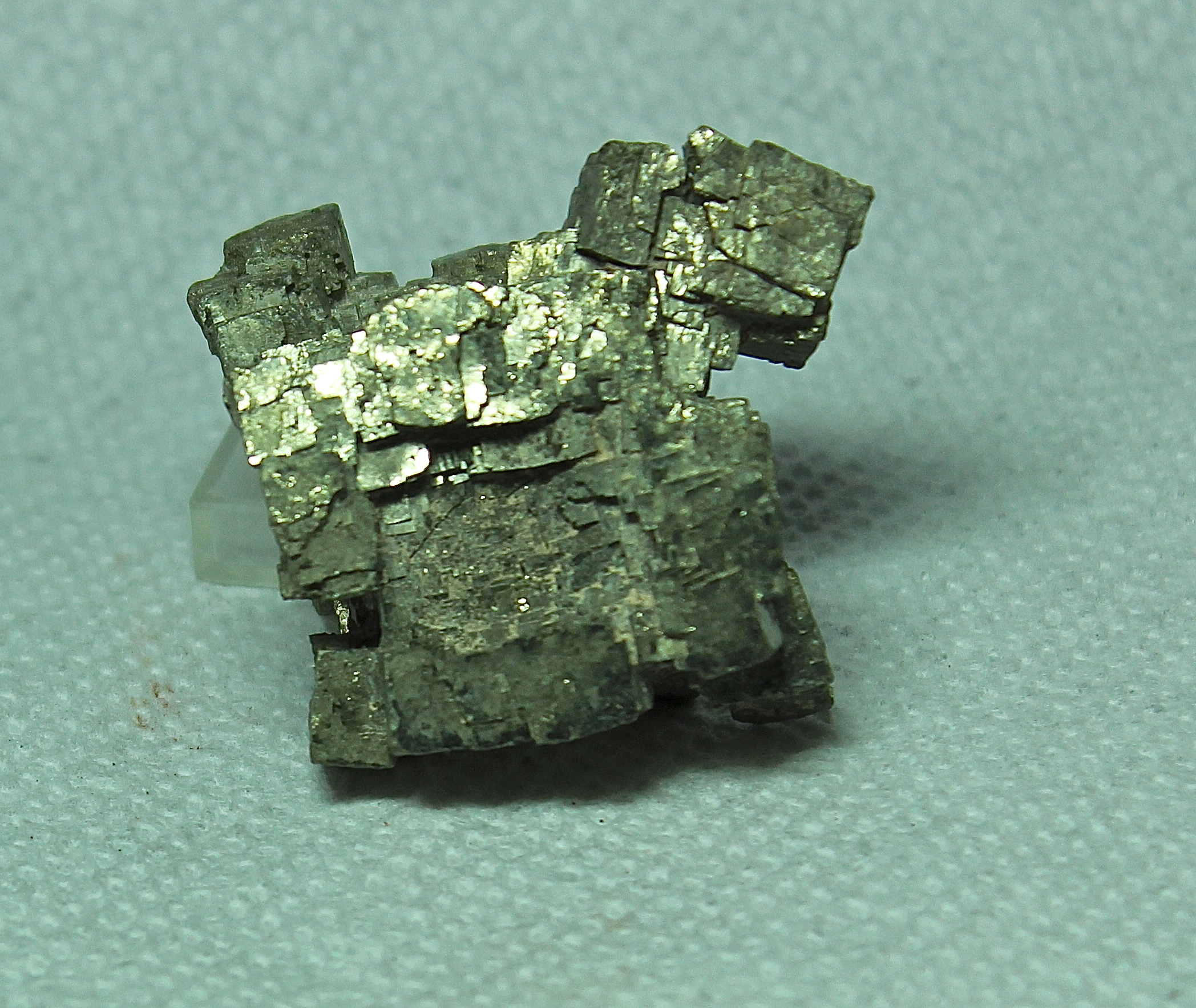 Pyrite (4 cm wide) from Zacatecas, Mexico