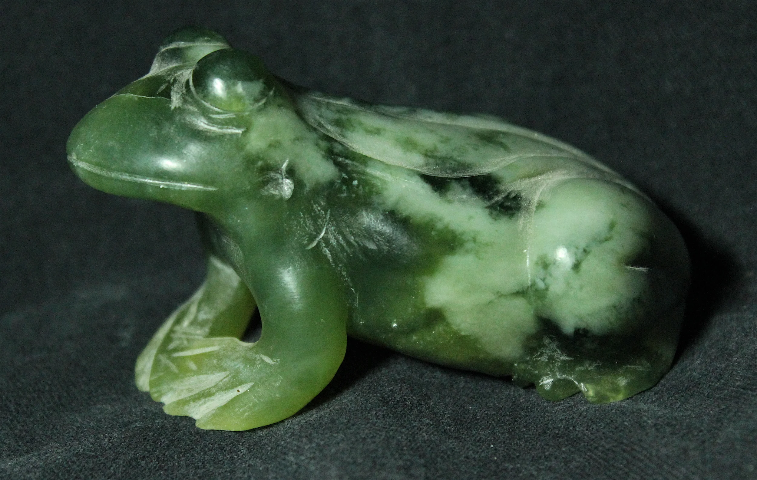 Serpentine frog, 9 cm long