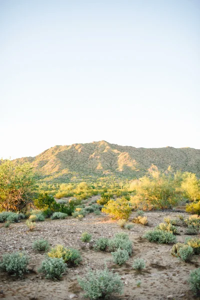 Cottage Hill Desert Inspiration_Rustic White033.jpg