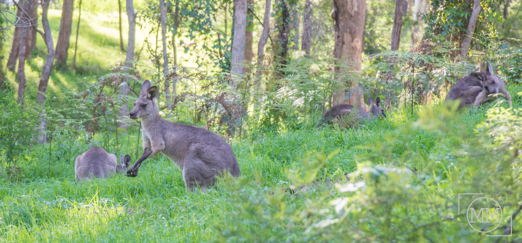DSC_0296.jpg