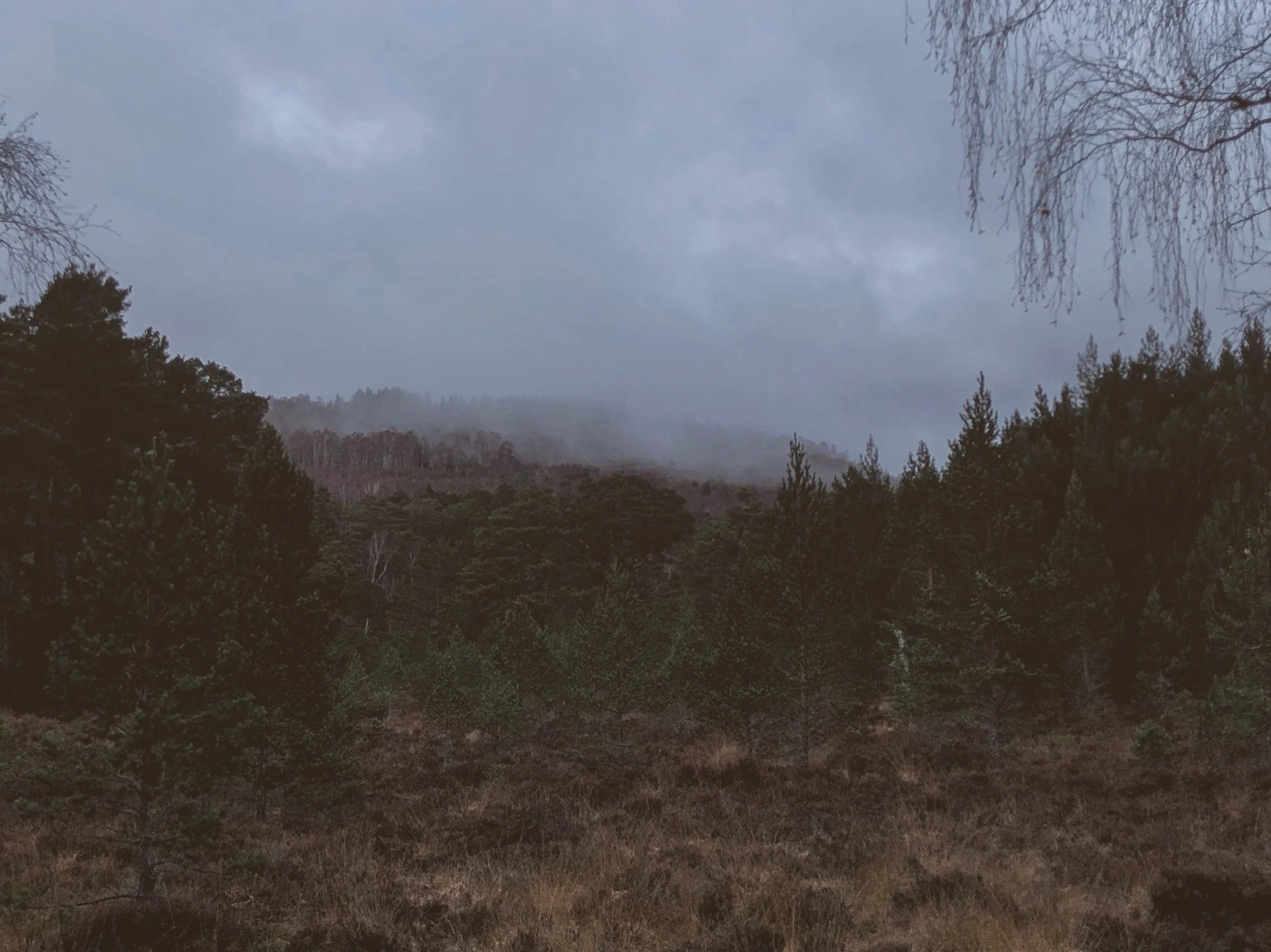 Cairngorms National Park, Scotland