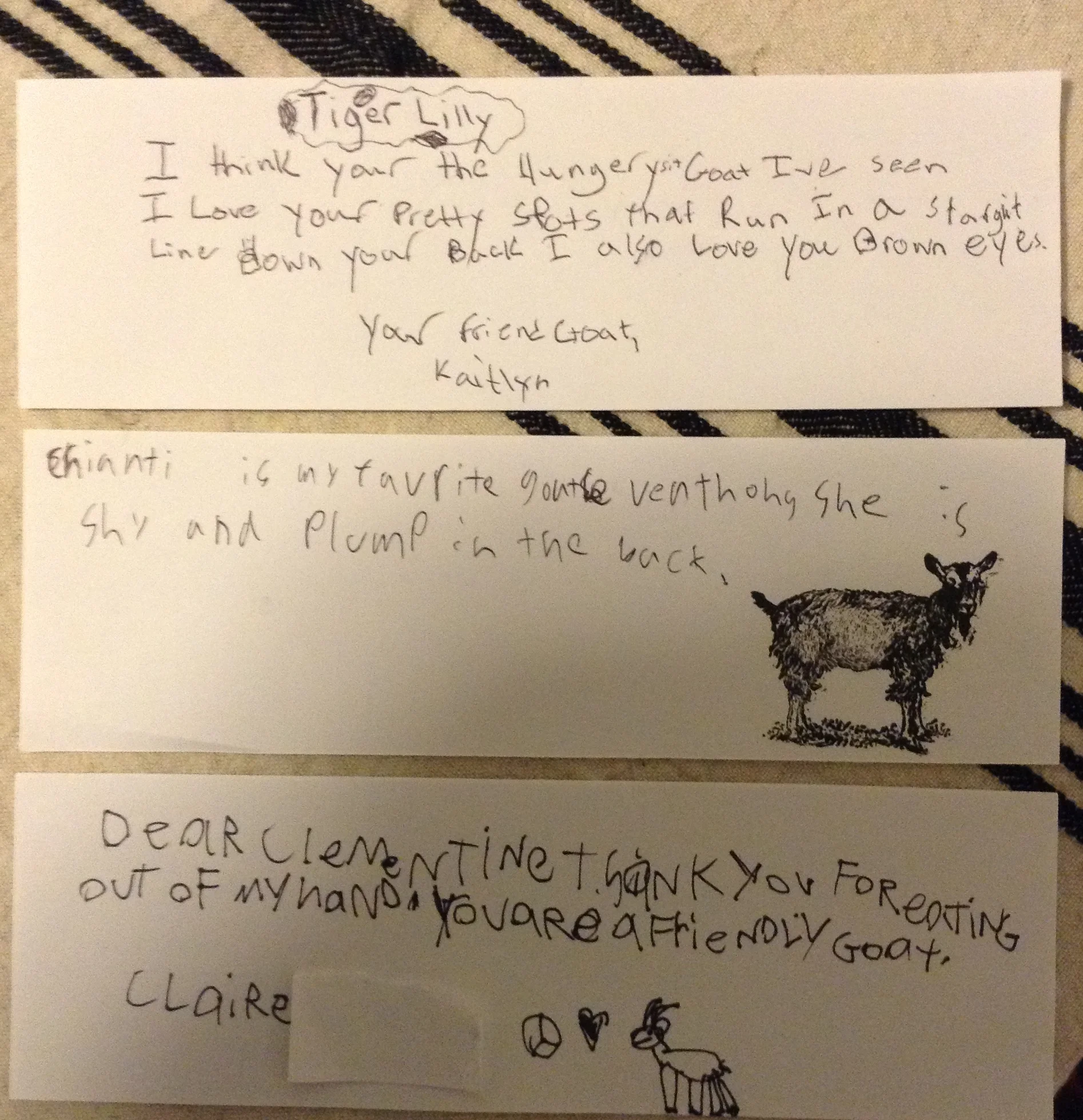 note to goat #2.jpg