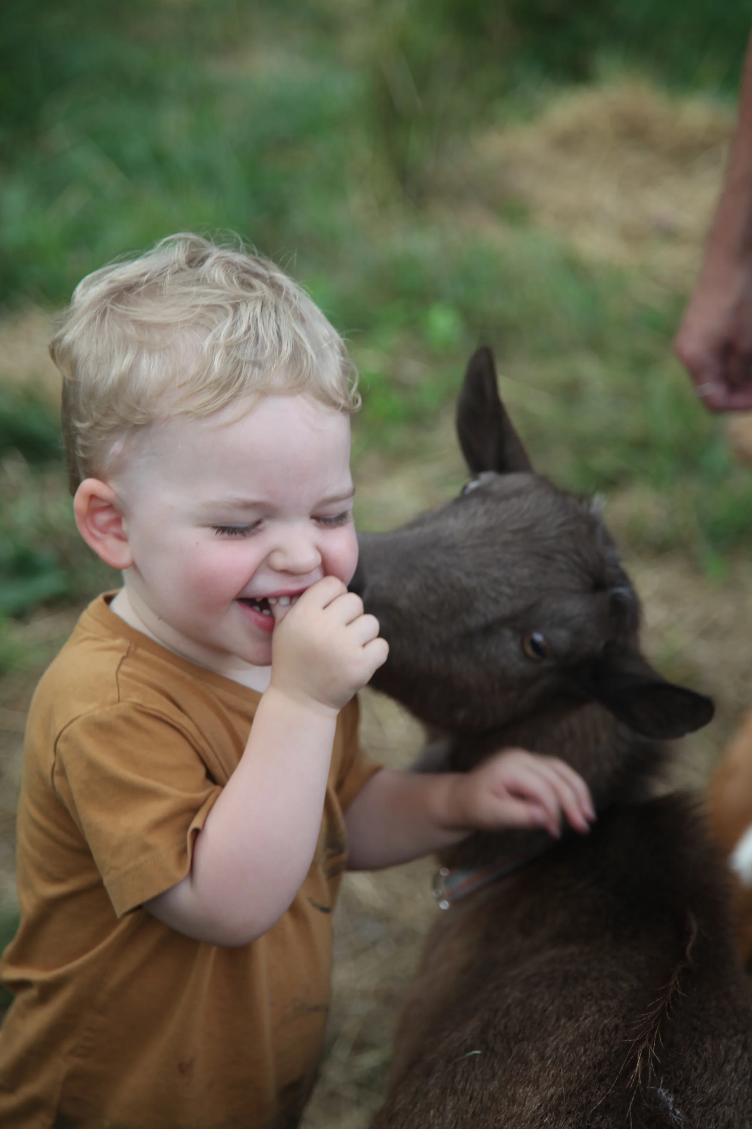 Goat Kisses