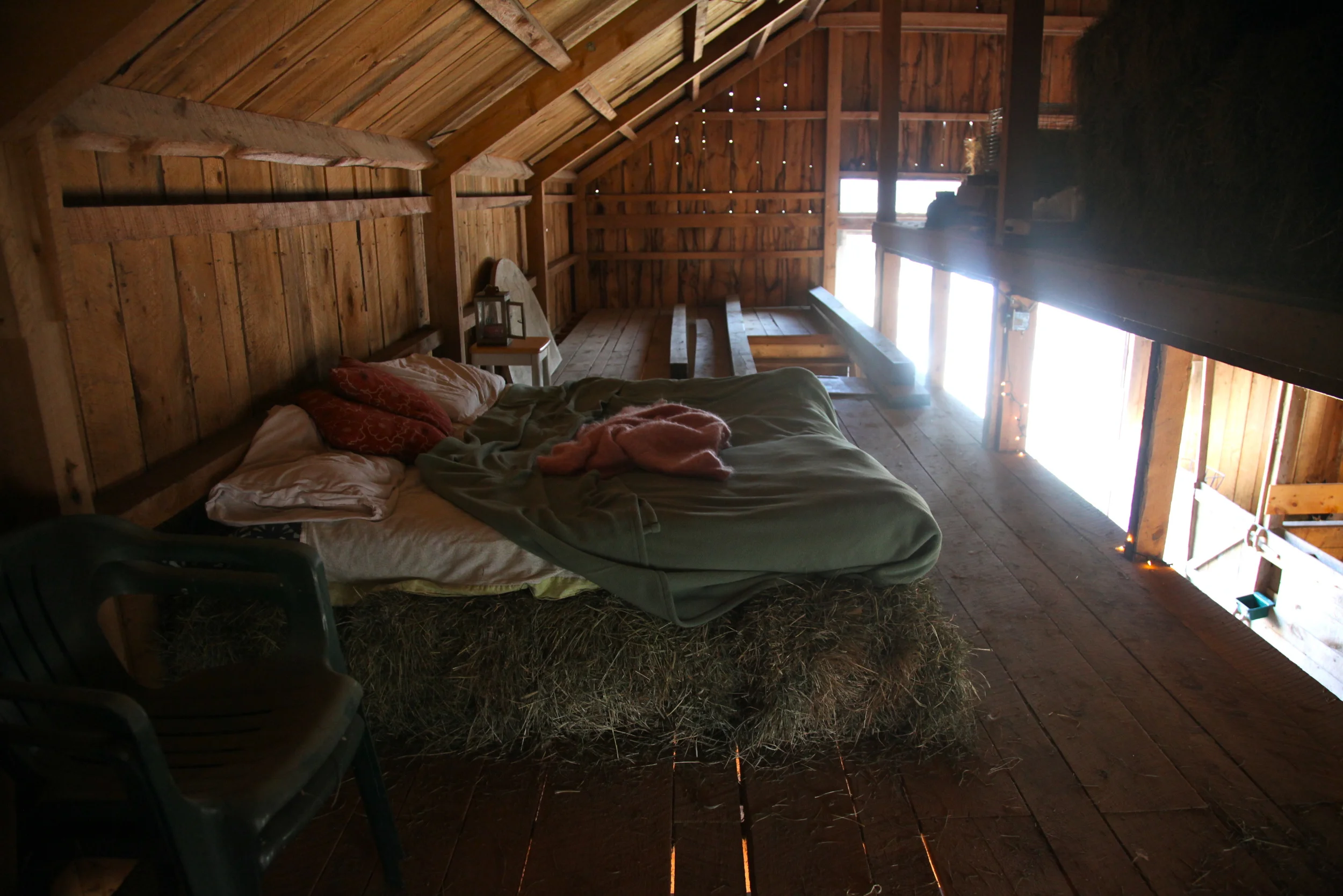 Kidding Season Bed