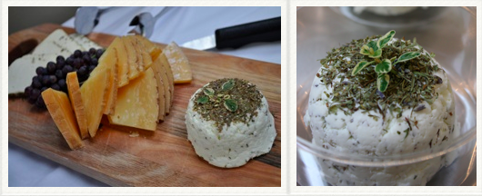 Herbs de Provence Chevre- Classic dried herb chevre with lots of lovely lavender. Seen here with other local cheeses at a event supporting Ferry Beach Ecology School at Cinque Terra in Portland. Want to cook with it? Delicious in an omelet or used in a stuffed chicken breast.