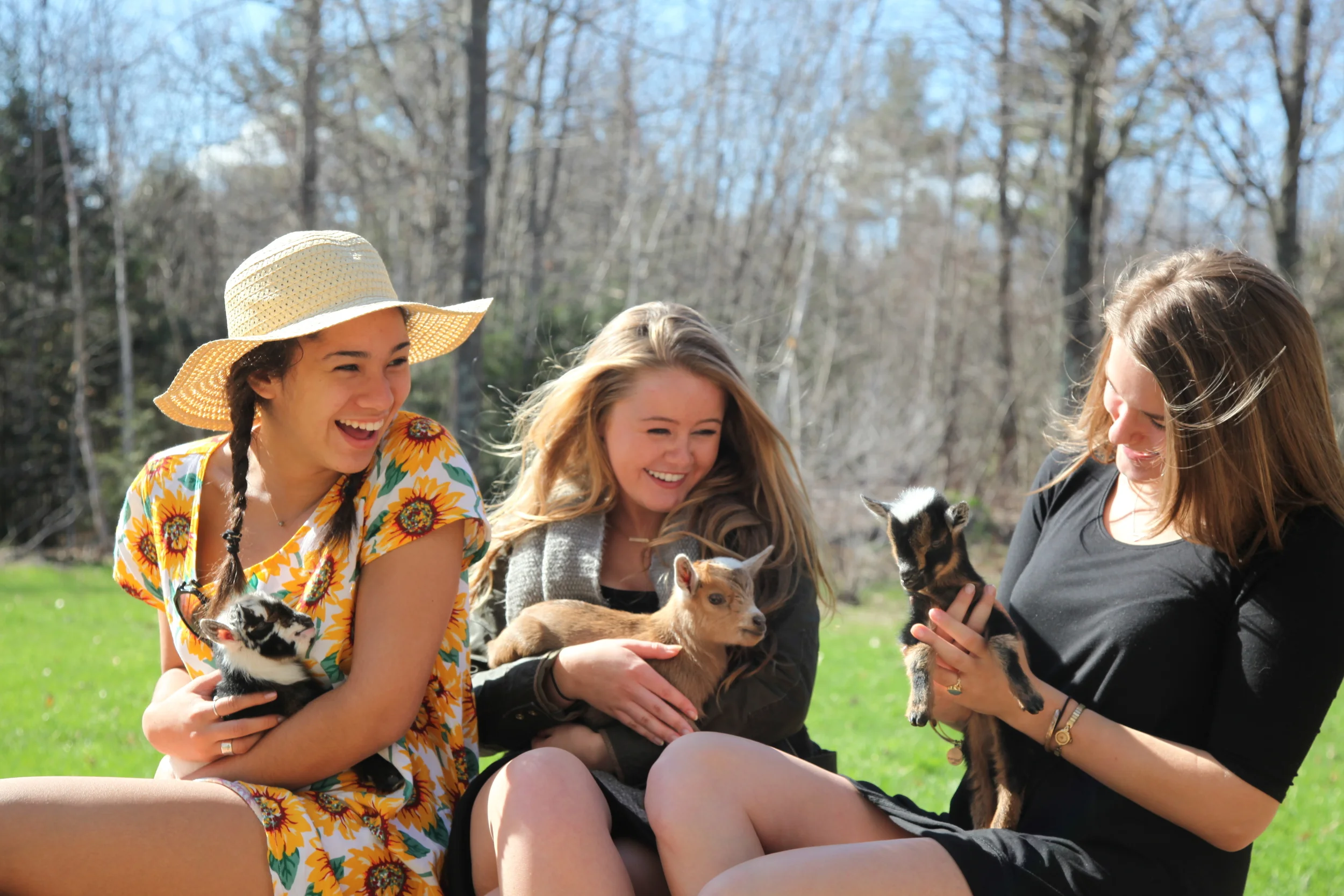 Kids of all ages like the goats!