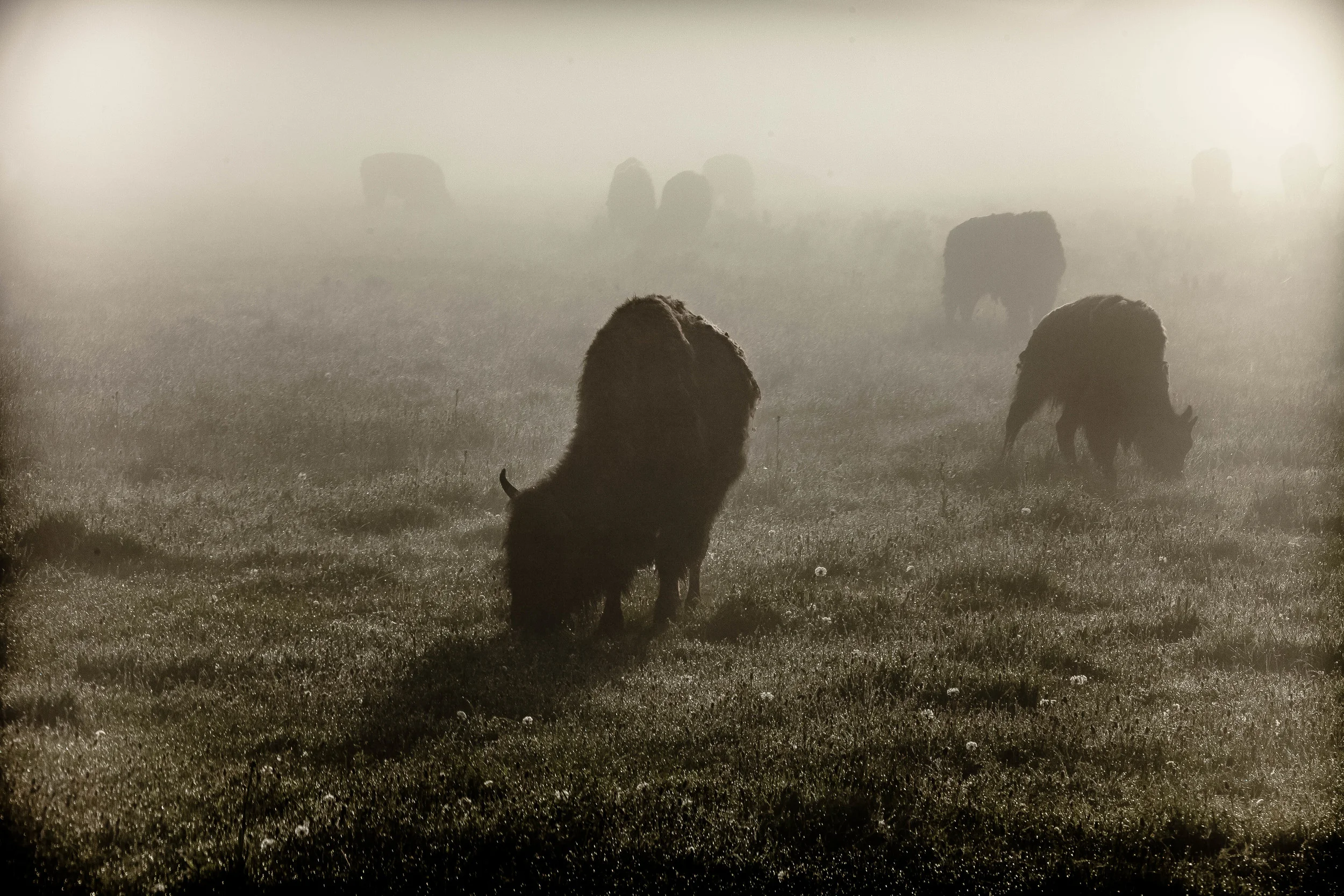 Finding Myself-3.JPG