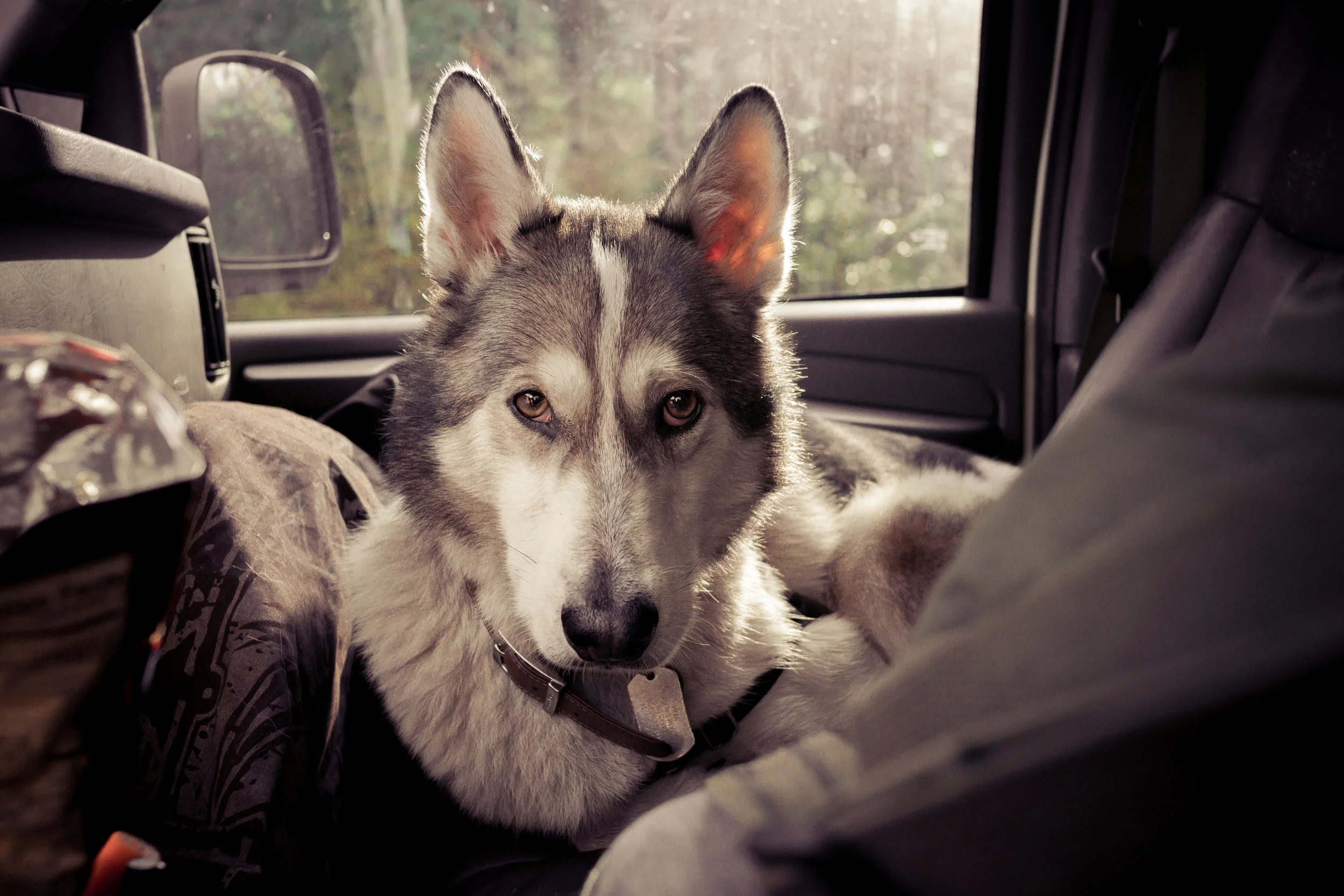 Akule Front Seat.jpg