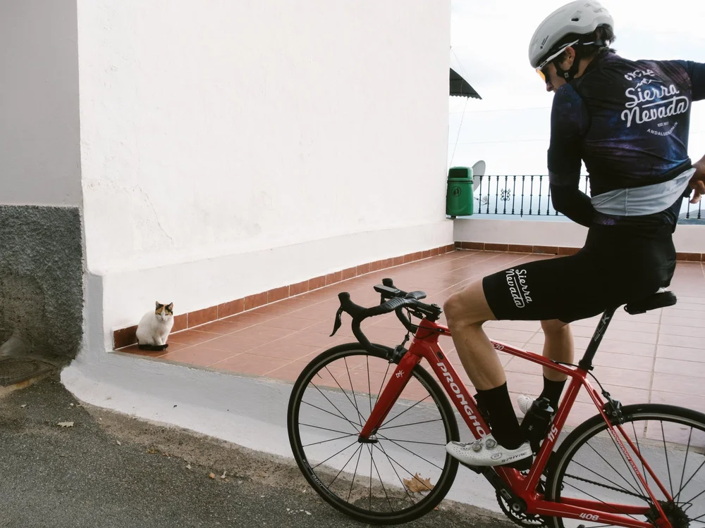 Classic Black Cycling Bib Shorts Cycle Sierra Nevada