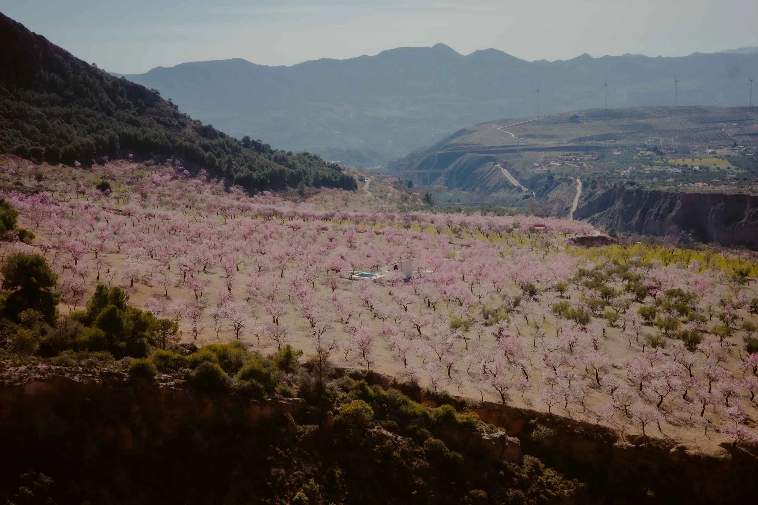 Granada Ride Guide - Ronda de Niguelas