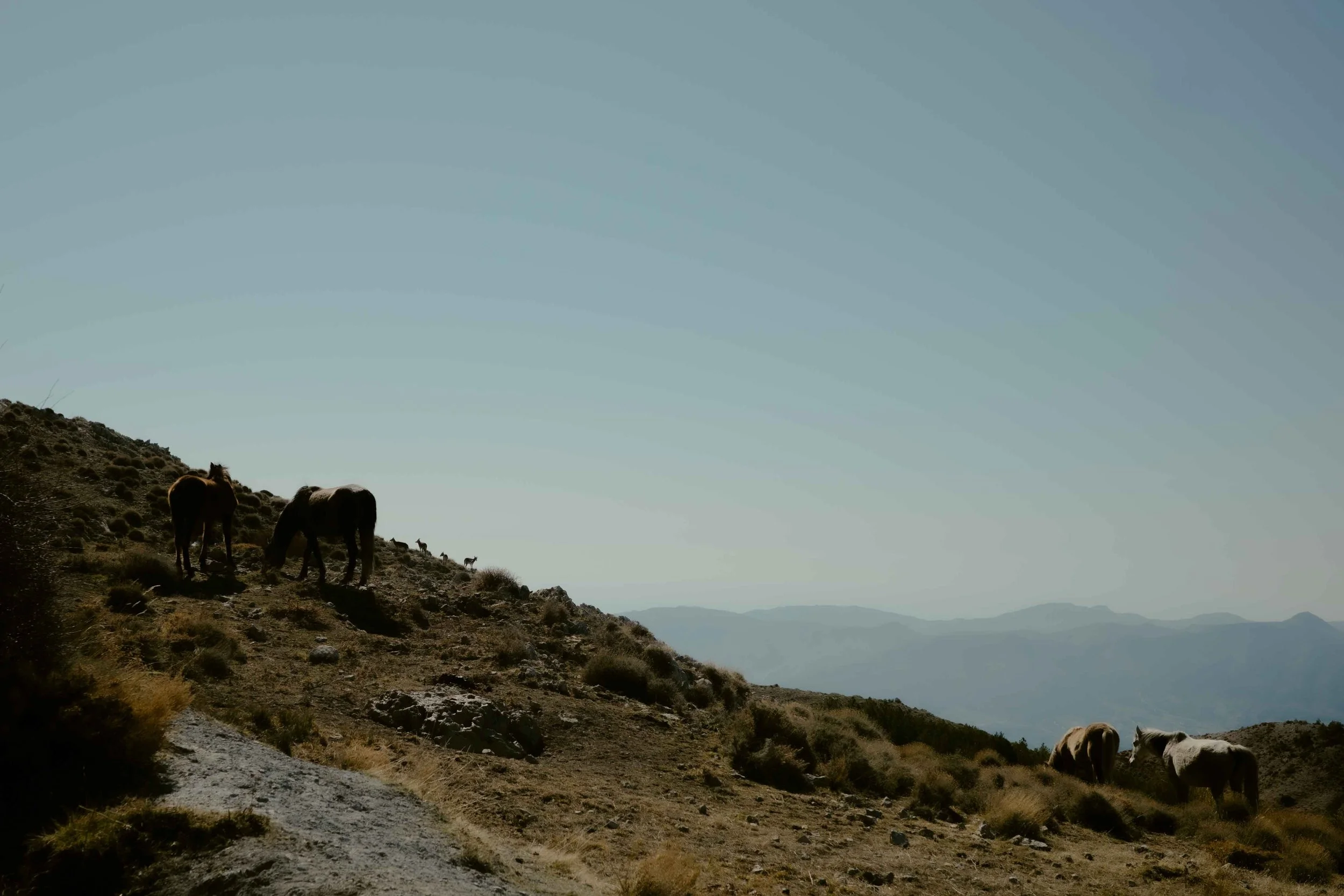 Granada Ride Guide - Ronda de Niguelas