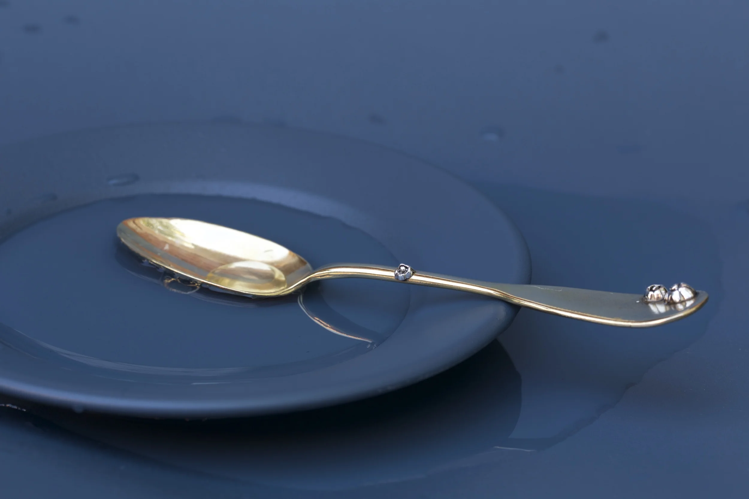 bronze teaspoon with sterling barnacles