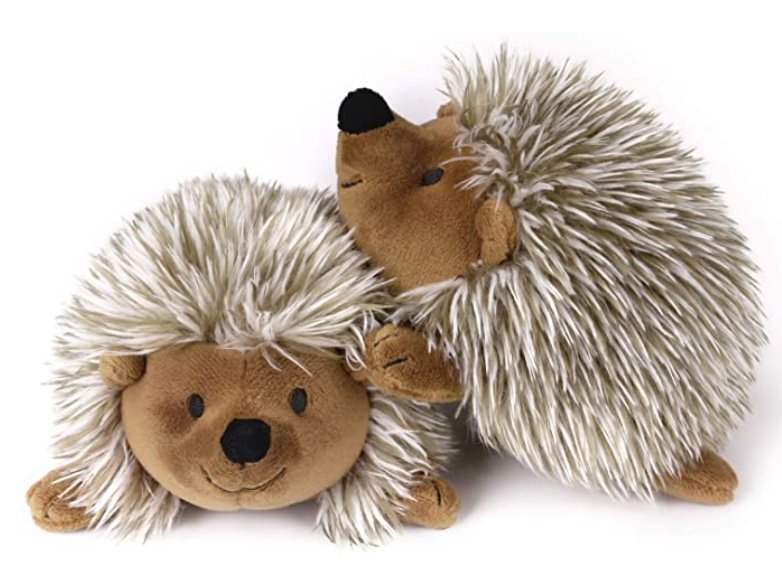 Hedgehogs.jpg