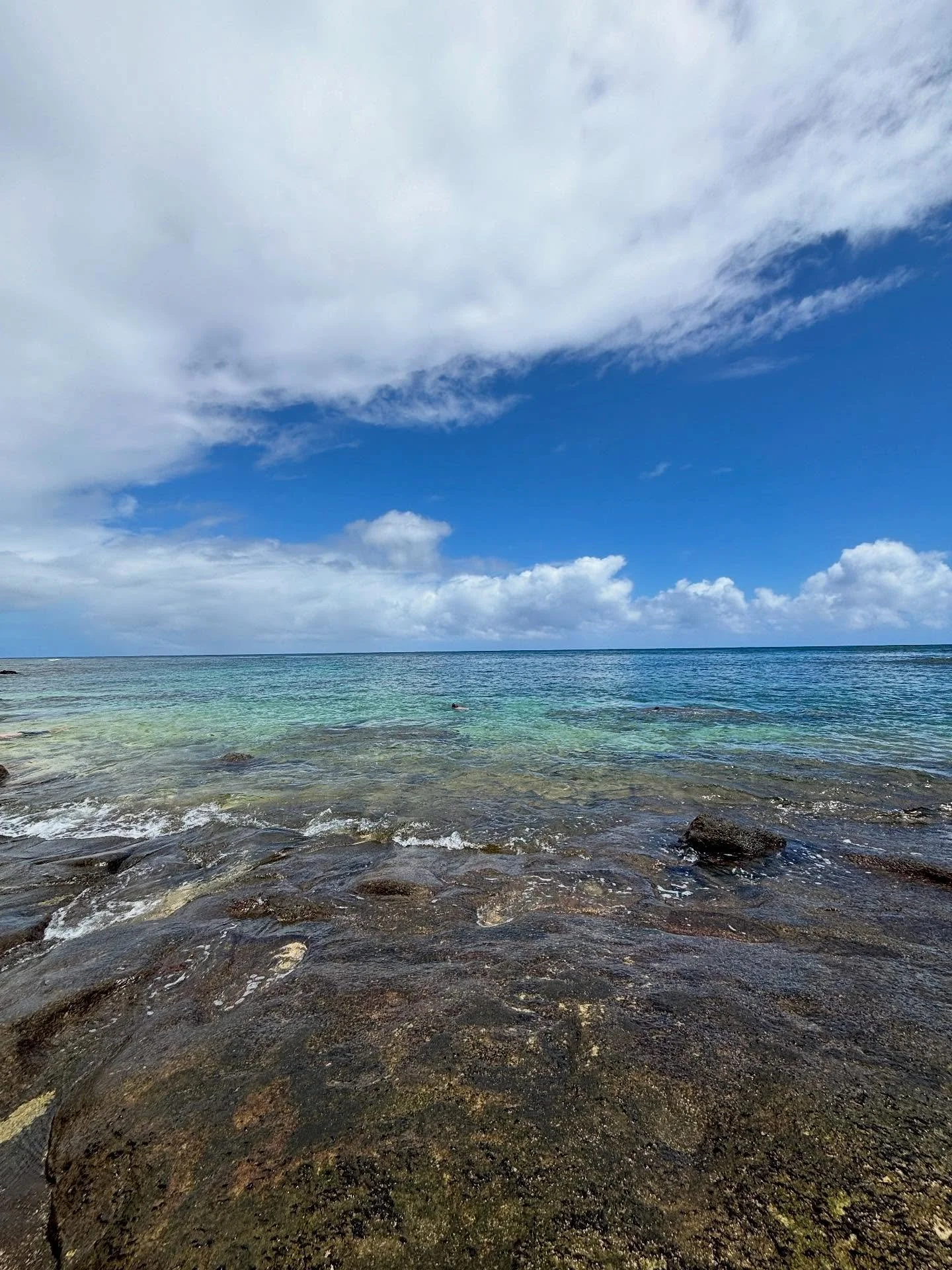 Mahalo Kauai, that was dreamy 🌈✨

#alohaandmahalo #familytravel #summertravel #kauai #hawaii #beachvacation #summeradventure #keepyoureyesandheartopen #natureisthebestgift