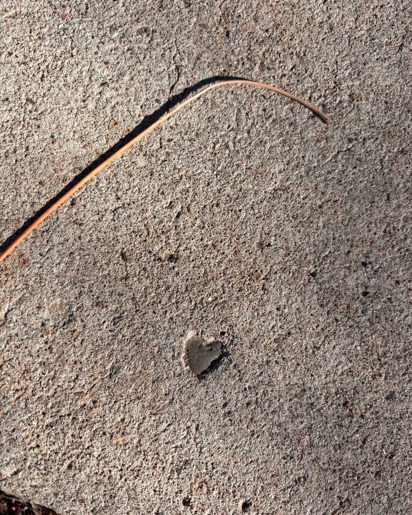 🩶

#chooselove #heartsinthewild #hearts #keepyoureyesandheartopen #ihearthearts