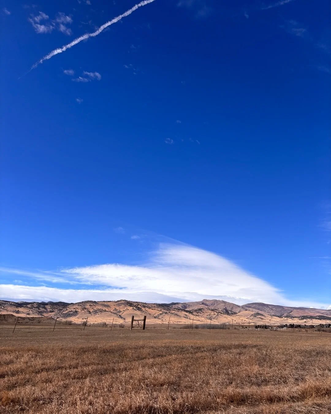 Late February ☀️☁️🤍