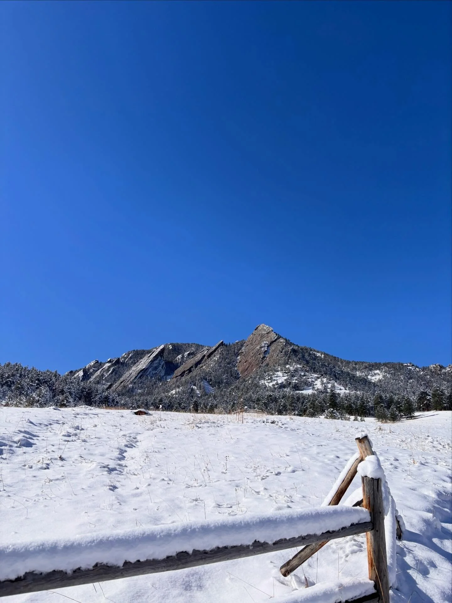 Had to catch it quickly ❄️✨