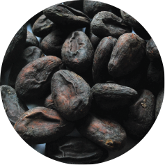 Fermented cacao used in East Forest Cacao Cinnamon Kenari Nuts — East Forest Kenari Nuts (Kawanasi)