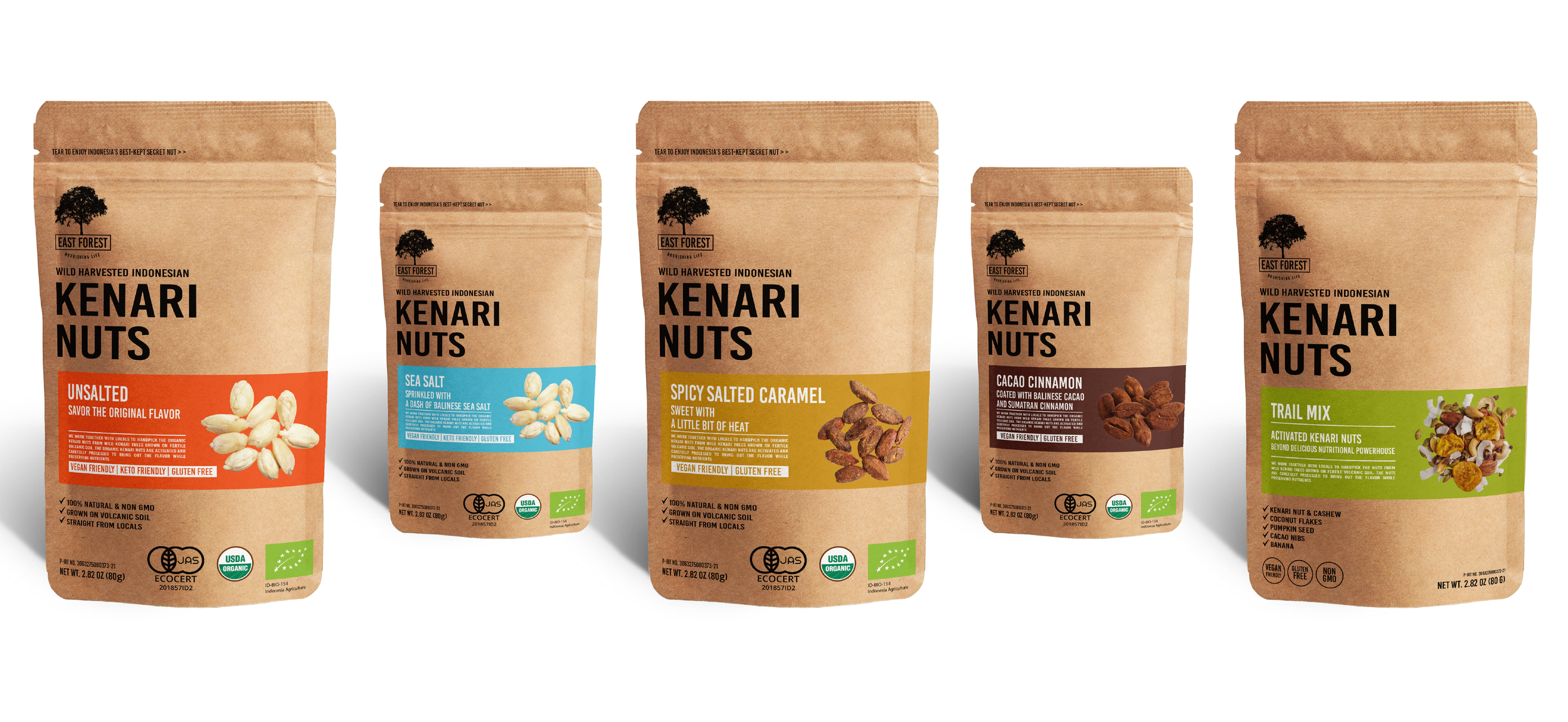 East Forest Kenari Nuts