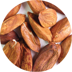 Kenari Nuts used as the base for East Forest Indonesian-inspired flavors — East Forest Kenari Nuts (Kawanasi)