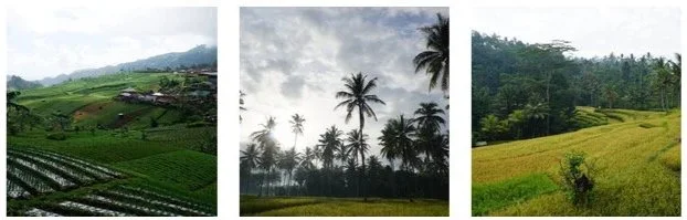 Indonesian landscape representing the natural origins of Kawanasi's food products — Kawanasi