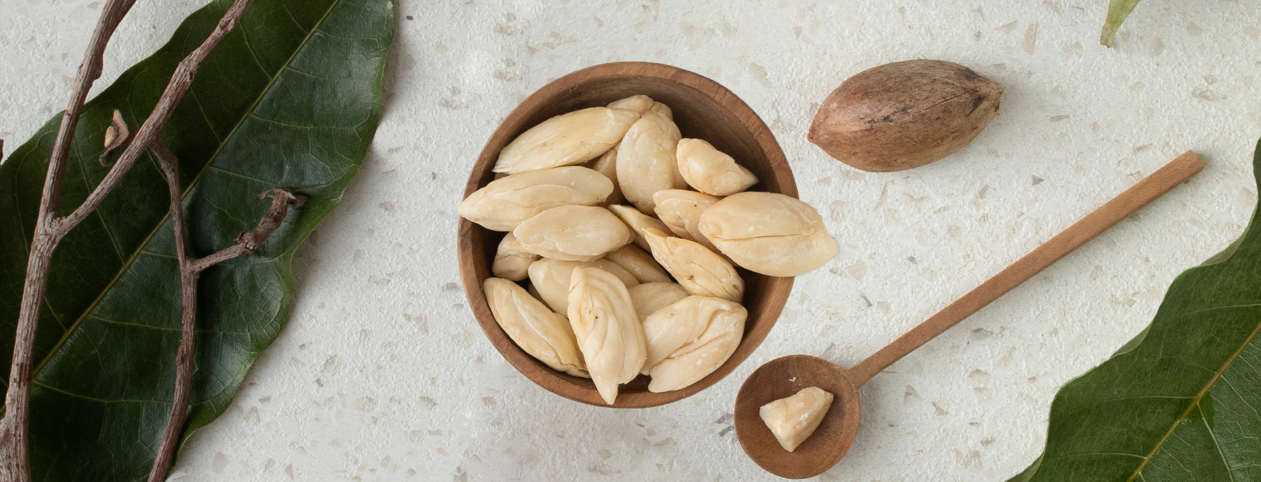 Kenari nuts in a wooden bowl from the forests of Eastern Indonesia