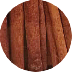 Cinnamon used in East Forest Cacao Cinnamon Kenari Nuts — East Forest Kenari Nuts (Kawanasi)