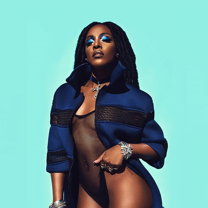 The Indivisible Dawn Richard