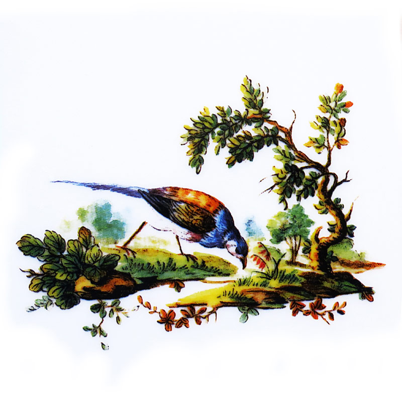 Bird Jewels C