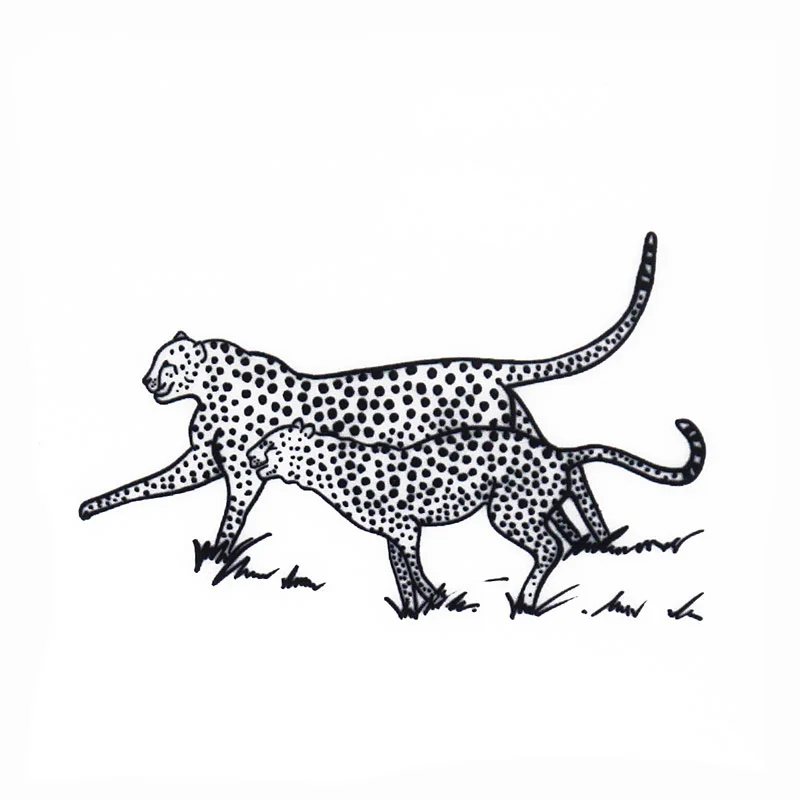 Noah's Animals - Cheetah