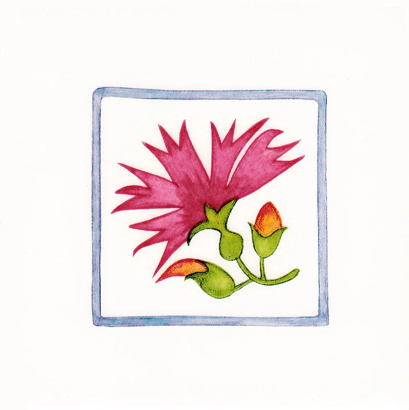 Skyros-Flower-with-buds-WEB.jpg