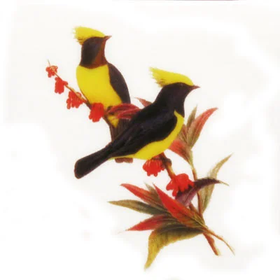 Bird Jewel small (b)