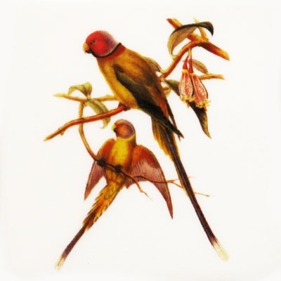 Bird Jewel small (d)