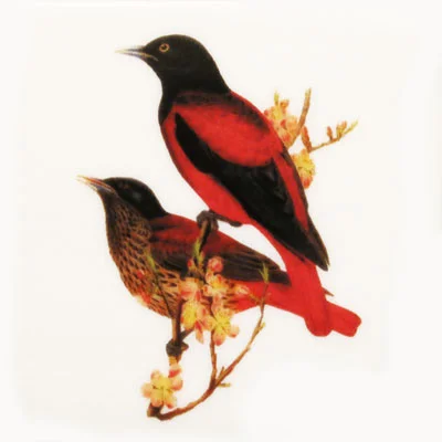 Bird Jewel small (h)