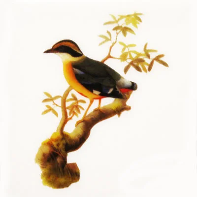 Bird Jewel small (i)