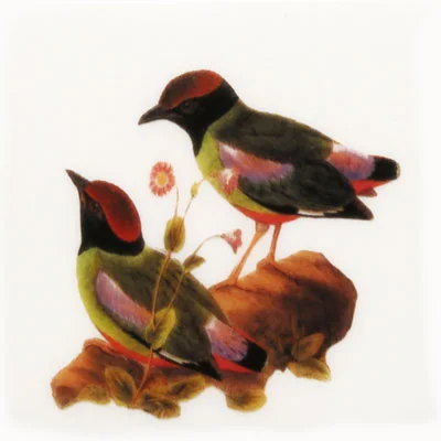 Bird Jewel small (j)