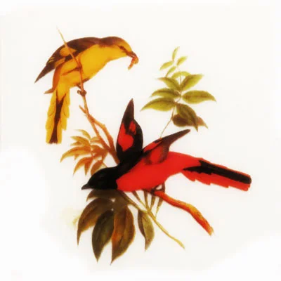 Bird Jewel small (k)