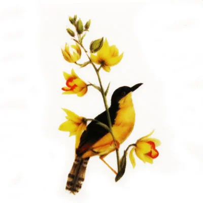 Bird Jewel small (n)