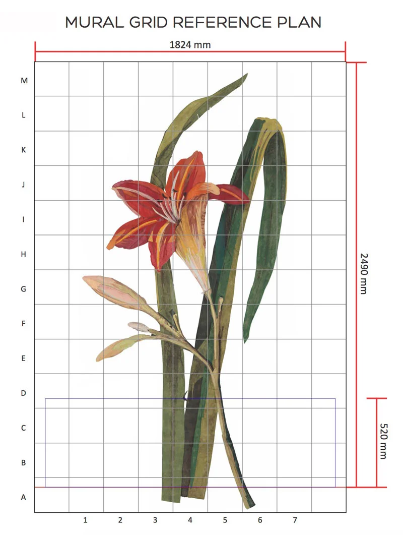 Giant-Lily-grid-w.jpg
