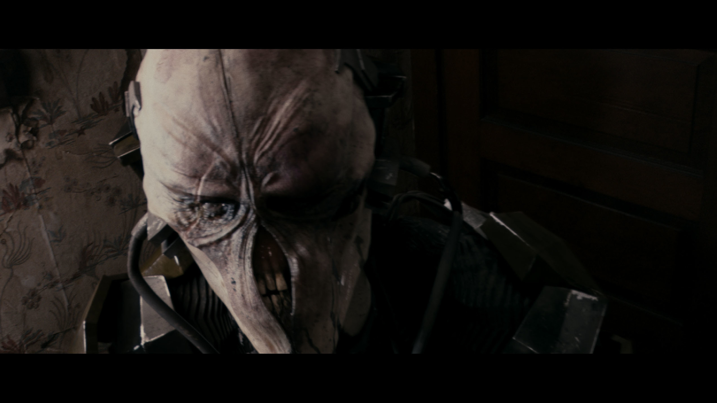 alienFilm04.jpg