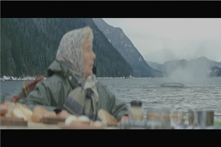boat.jpg
