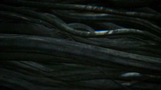 VICARIOUS 00228.jpg