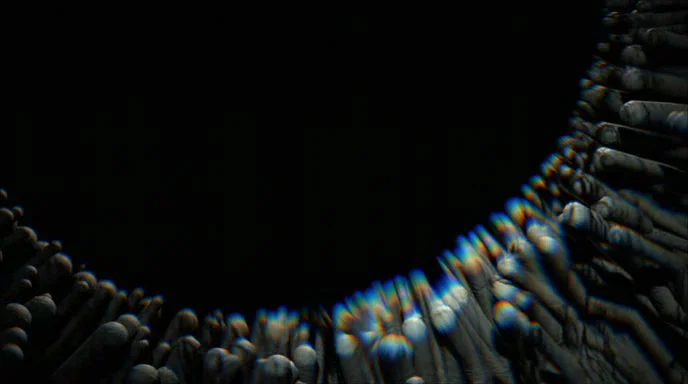 VICARIOUS 00984.jpg