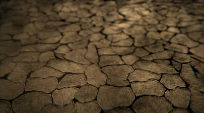 VICARIOUS 02659.jpg