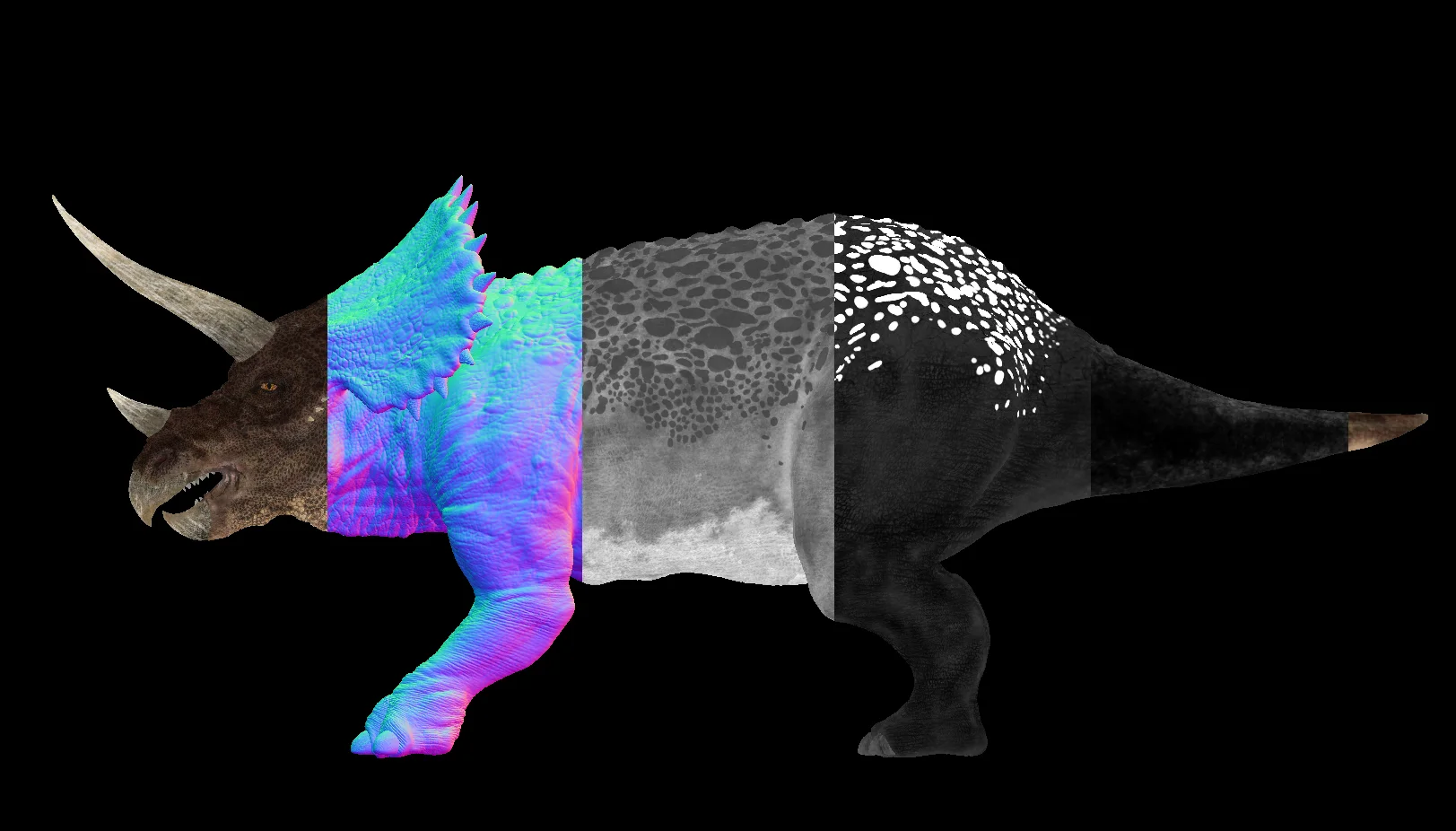 pass03.jpg