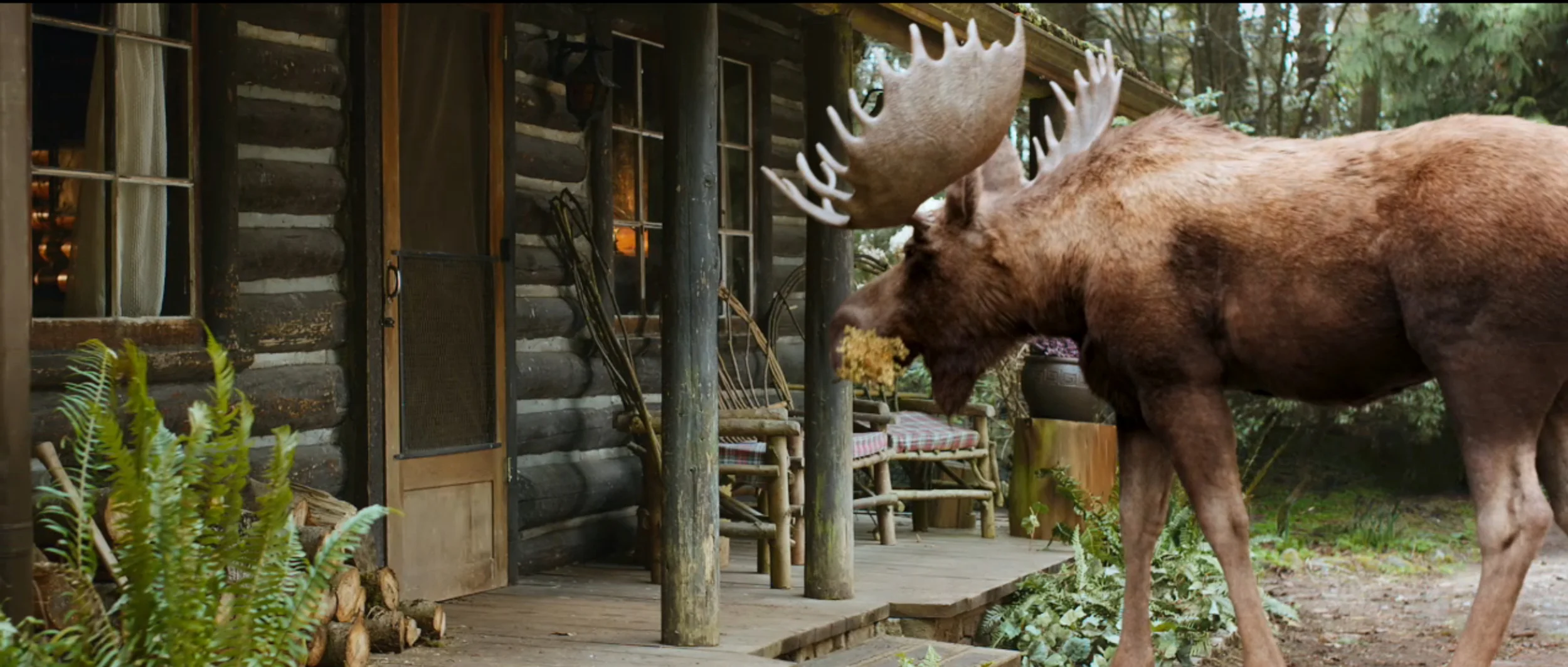 screenmoose02.jpg